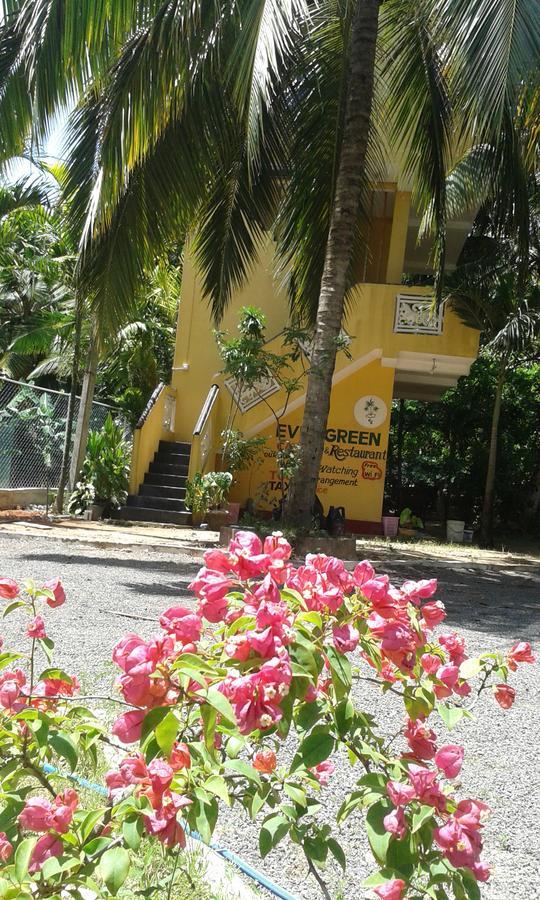 Ever Green Mirissa Extérieur photo