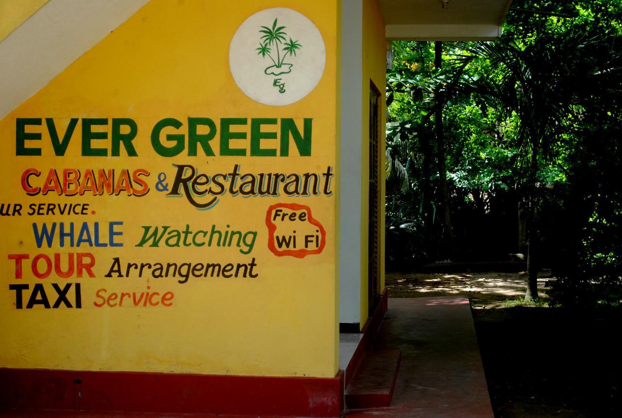 Ever Green Mirissa Extérieur photo