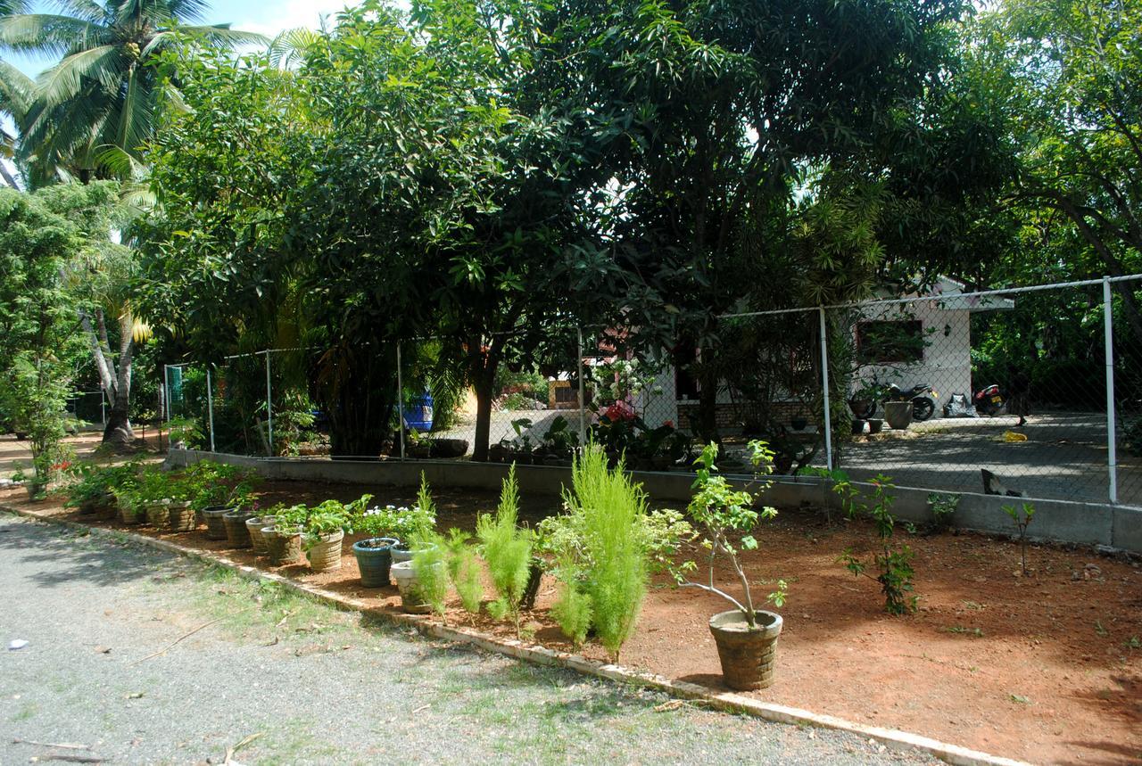 Ever Green Mirissa Extérieur photo
