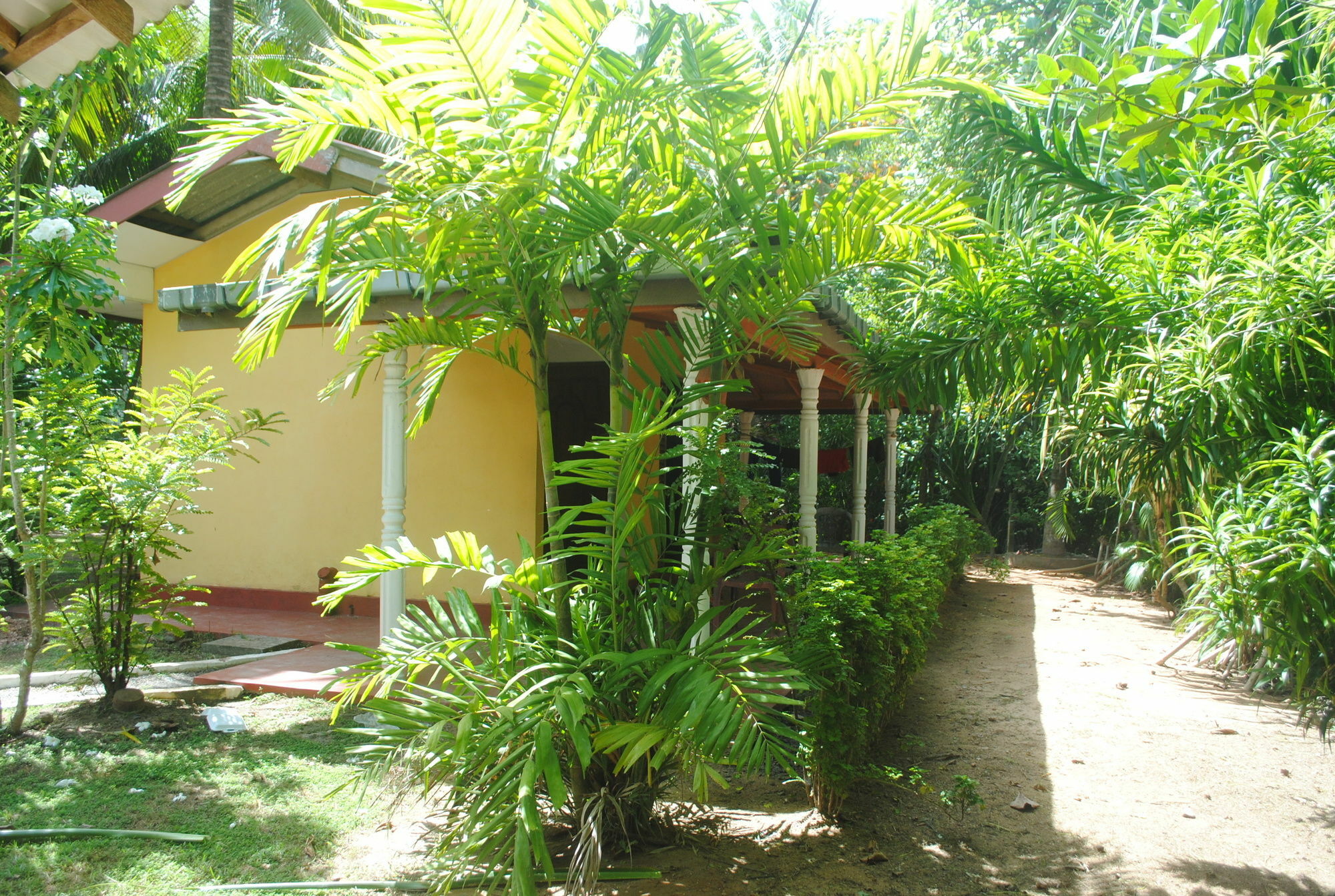 Ever Green Mirissa Extérieur photo